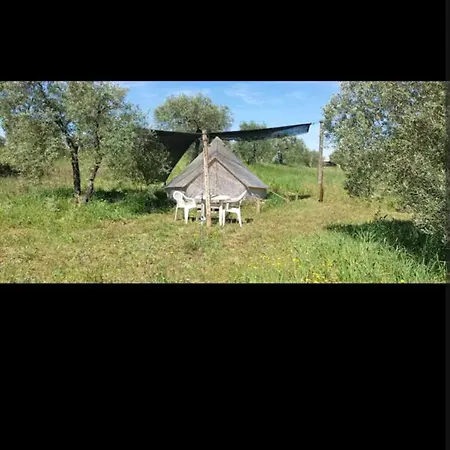 Luxury tent Tienda Acogedora Con Piscina 