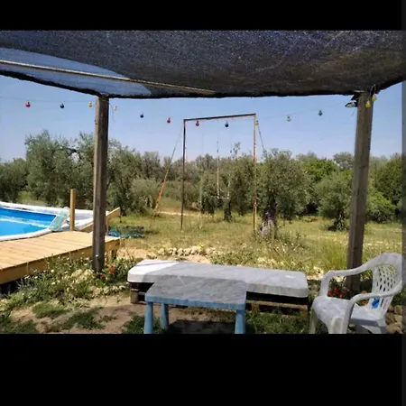 Tienda Acogedora Con Piscina 
